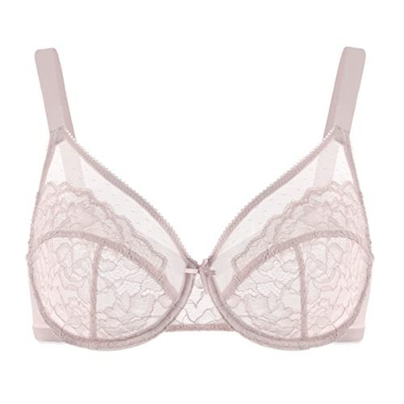 Plus Size Lace Bra French Push - Sheer Mesh Bra review and price